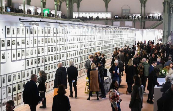 A Paris Photo, un ritorno in bianco e nero al Grand Palais