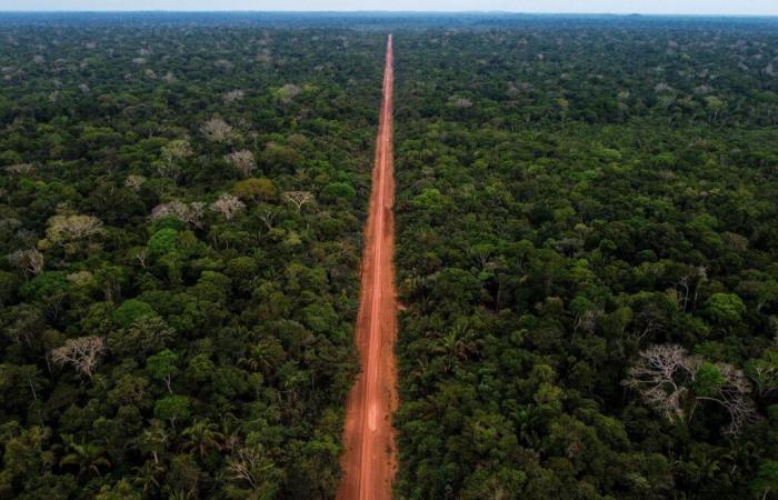 Tasso di deforestazione nell’Amazzonia brasiliana al livello più basso degli ultimi nove anni