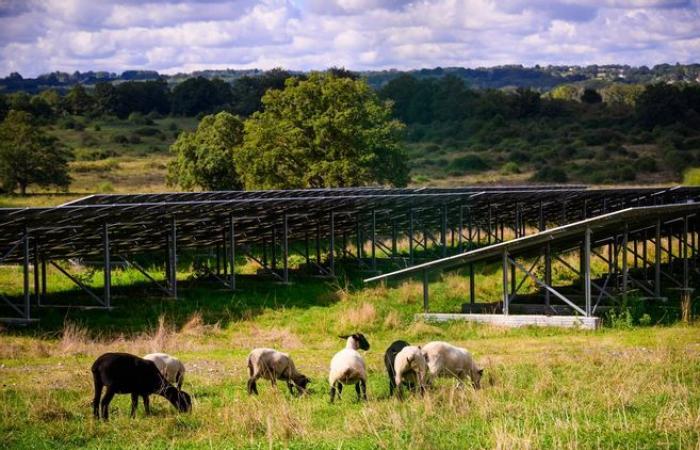 Assegnazione di terreni agricoli: questi tre casi che sconvolgono le campagne della Corrèze