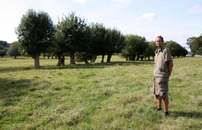 Maine-et-Loire. Il Parco svela il vincitore del concorso “Pratiche agroecologiche dei prati e dei pascoli”.