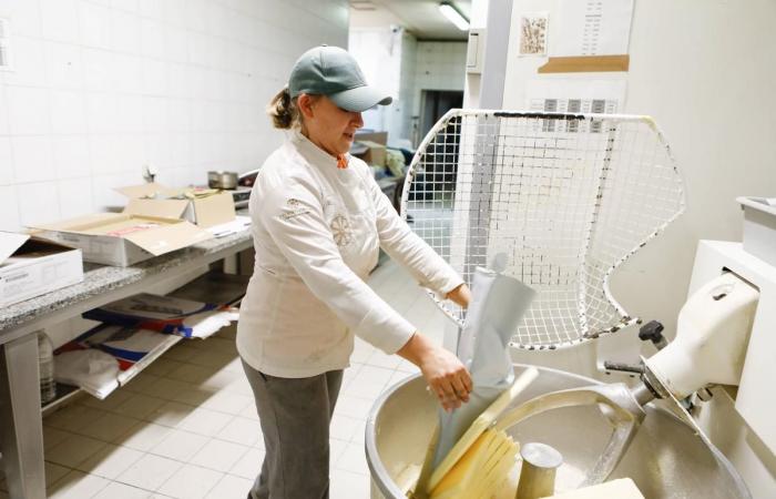 dietro le quinte dei primi due pasticcini di La Rochelle di Nina Métayer