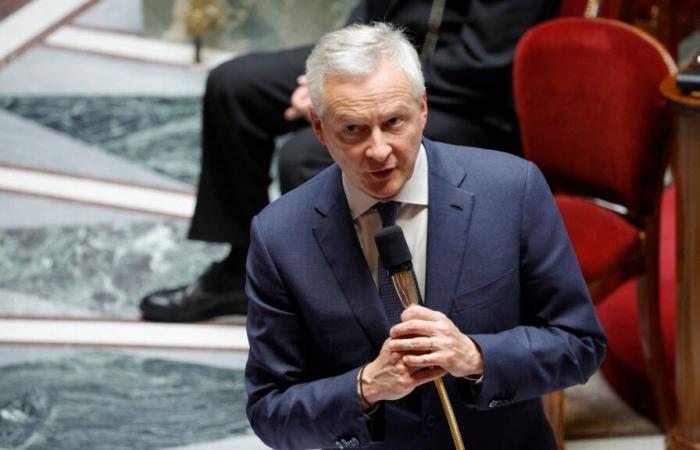 segui l'audizione di Bruno Le Maire davanti alla Commissione Finanze del Senato