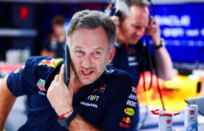 Christian Horner ammette che la Red Bull ha parlato con Fernando Alonso