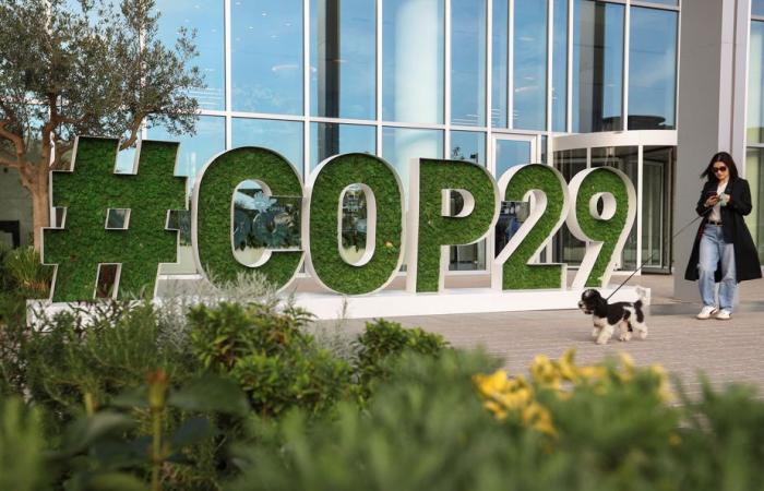 COP29 in Azerbaigian | Scegliere l’ambiente a scapito delle libertà?