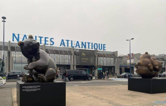 All’aeroporto di Nantes, tre cuccioli di orso giganti annunciano la mostra di Michel Bassompierre, a Vertou