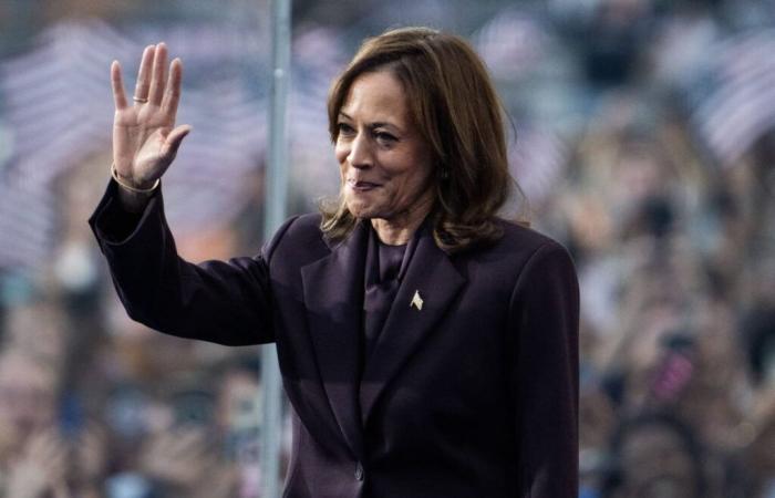 quale futuro per Kamala Harris?