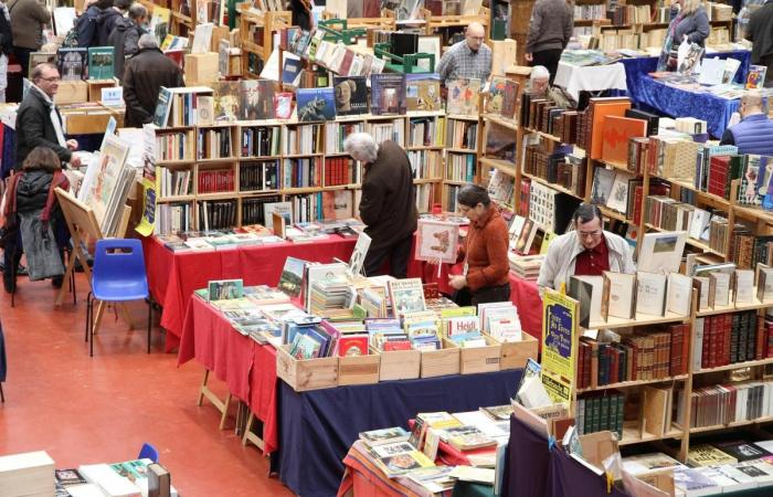 Glouglous, funghi, oggetti d'antiquariato, libri antichi… Cinque idee per le gite di questo fine settimana in Dordogna