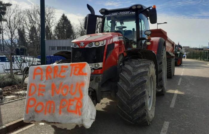 Perché gli agricoltori dell'Alta Savoia si mobilitano oggi