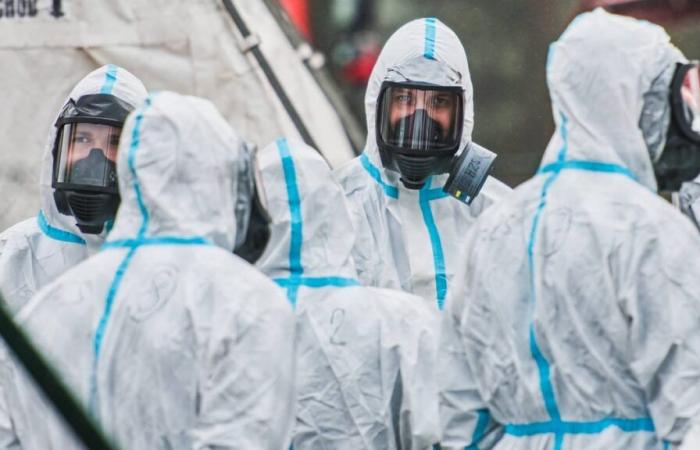 L’intero Paese è stato dichiarato zona a rischio a causa dell’influenza aviaria