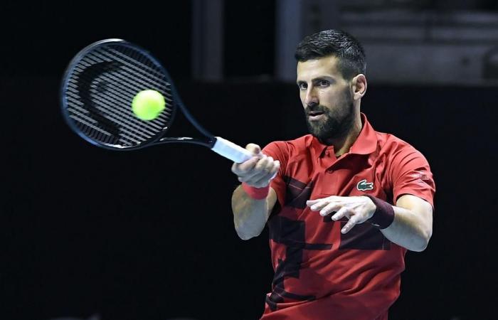 Stagione tennistica: Novak Djokovic vuole vincere più titoli