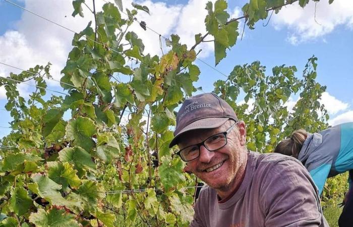 Il Domaine Lionel Brenier riporta in vita antichi vitigni nella Drôme des Collines.