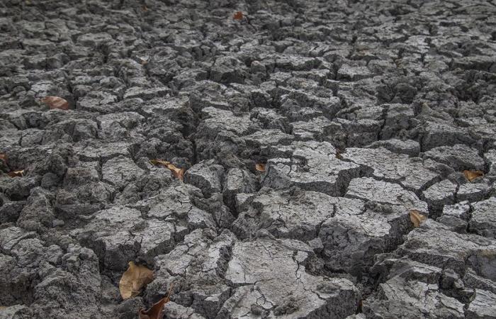 COP29: Sostenere i piccoli agricoltori, un investimento chiave per l’adattamento climatico