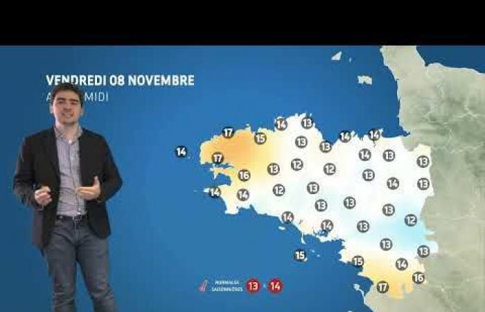 Il tempo per venerdì 8 novembre 2024 – Notizie meteo