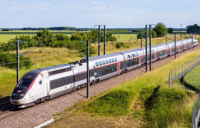 perché questo fine settimana molti TGV tra Parigi e il Sud-Est vengono cancellati