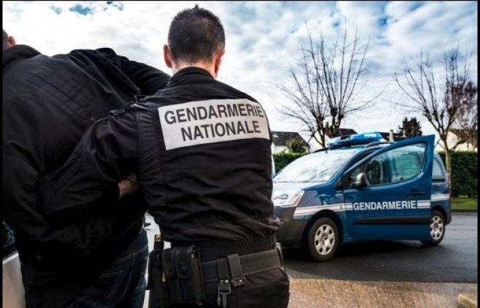 Landes – Pirenei Atlantici – Serie di furti con l'inganno nei palazzetti dello sport: la gendarmeria pone fine alle azioni di un uomo con il vizio compulsivo del gioco d'azzardo