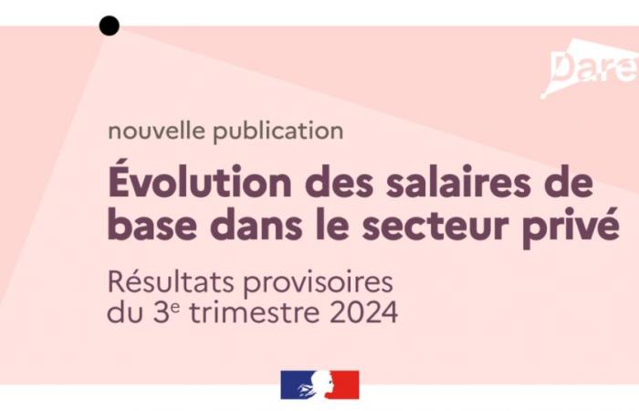 Evoluzione degli stipendi base nel settore privato: risultati provvisori per il 3° trimestre 2024