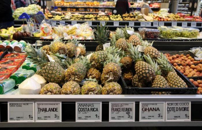 Il Consiglio di Stato cancella un decreto che vieta gli imballaggi in plastica per frutta e verdura fresca