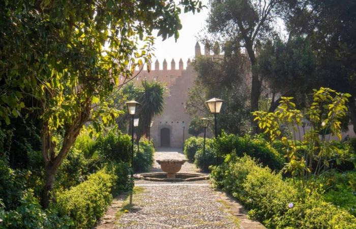 Al Jardin d’Essais, l’arte di El Ghrib fiorisce sotto il segno dei vivi