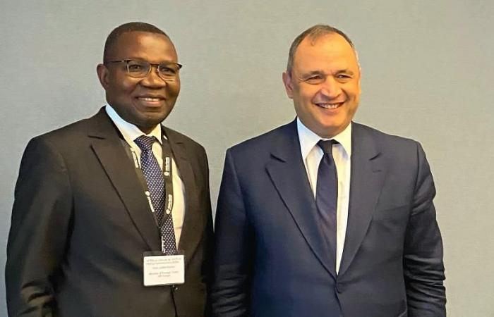 Mezzour incontra il Ministro del Commercio Estero della Repubblica Democratica del Congo