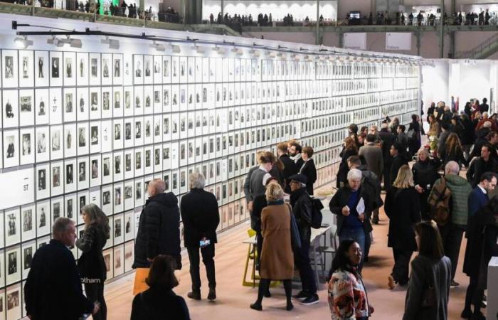 entra nel mondo della fotografia che sta facendo il suo ritorno in grande stile al Grand Palais