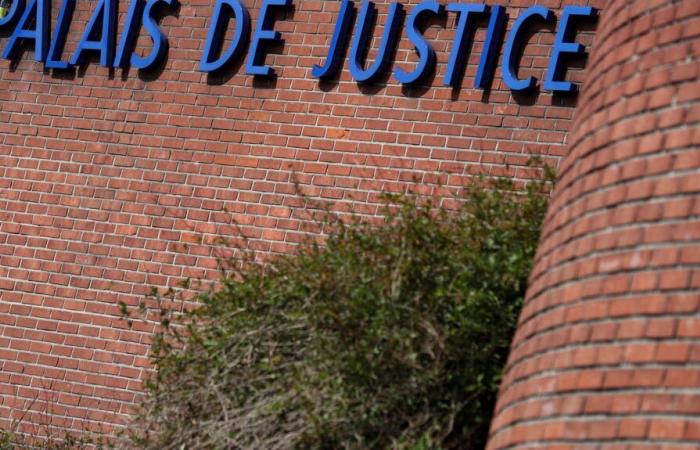 la Procura di Bobigny impugna la decisione di mettere la madre sotto controllo giudiziario