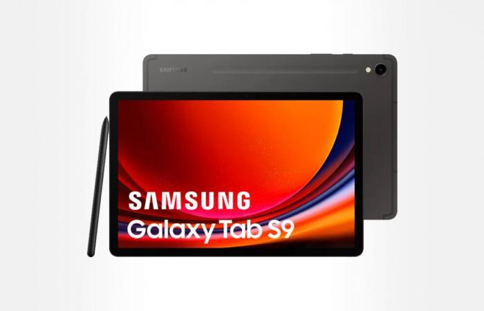 Il tablet di fascia alta di Samsung perde 300€ sul suo prezzo, ma non per molto