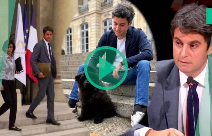 Gabriel Attal non ha dimenticato questa punta attribuita a Rachida Dati sul suo cane