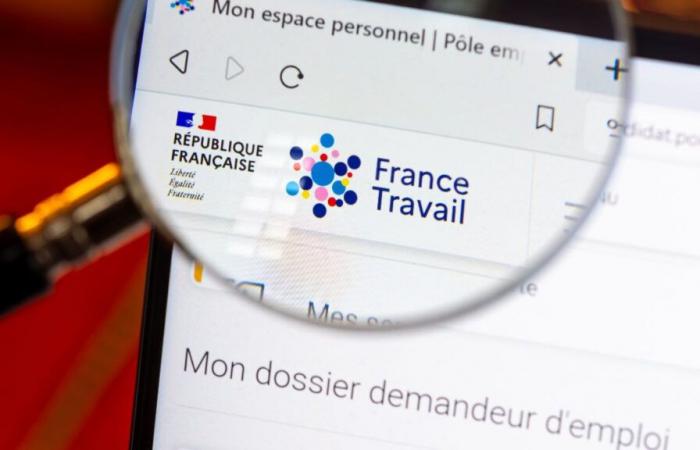 “Sono un consulente di France Travail, ecco quanto guadagno al mese”