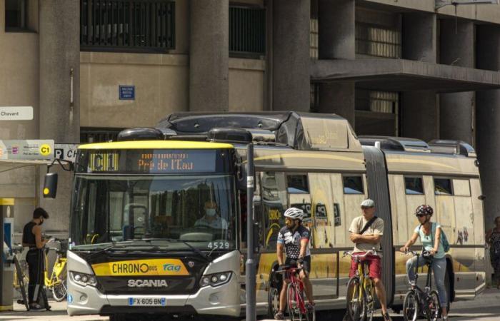 un conducente del tram ha aggredito con un lacrimogeno