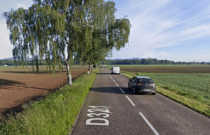 Un uomo muore, sbalzato dalla sua auto dopo aver colpito un albero nel Basso Reno