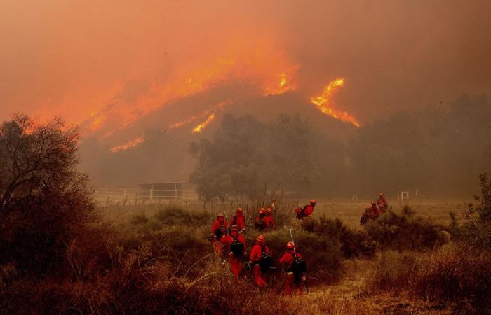 Grande incendio in California | Più di cento case distrutte vicino a Los Angeles