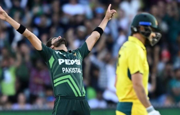 Australia vs Pakistan 2 ° ODI, punteggio in diretta: Haris Rauf rimanda Marnus Labuschagne ad Adelaide | AUSTRALIA