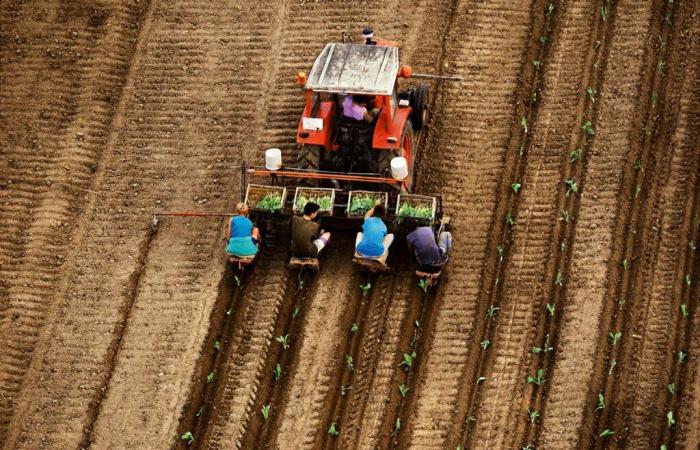 Consumo responsabile in Francia, quando il giusto prezzo è tra le prime aspettative