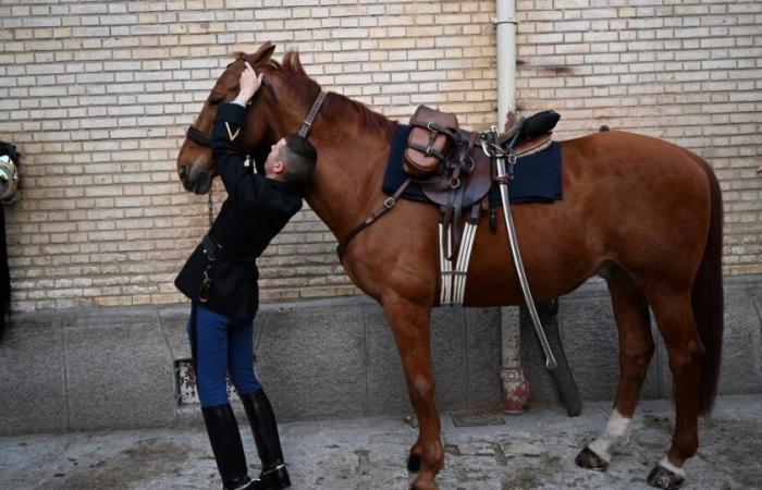 quattro cavalli della Guardia repubblicana decorati lunedì