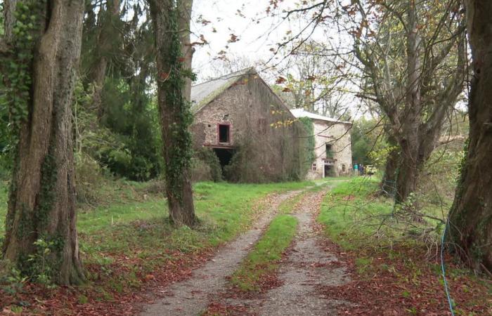 perché un campo da golf non dovrebbe vedere la luce nonostante la caparbietà dei promotori