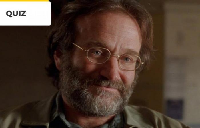 Cinema Quiz: 10 film di Robin Williams da riconoscere! : Cinema e serie