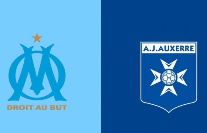 Streaming Marsiglia – Auxerre: come vedere la partita della Ligue 1 McDonald's in diretta?