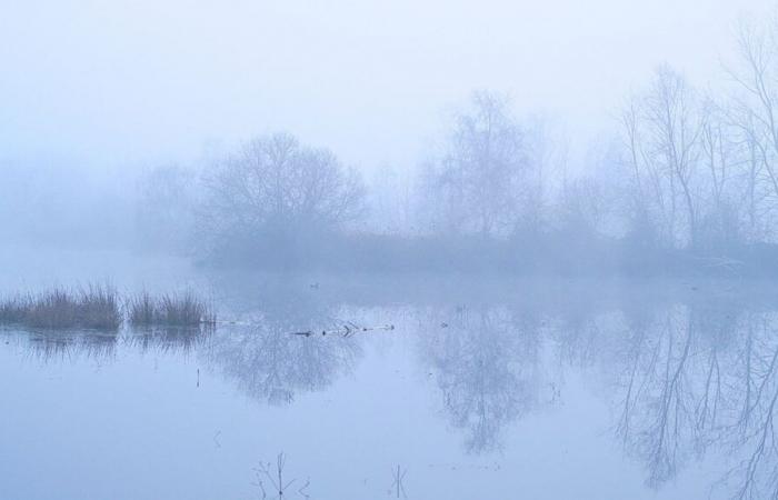 Cielo coperto, assenza di sole, nebbia: l'Indre-et-Loire vive uno dei peggiori primi di novembre degli ultimi 25 anni