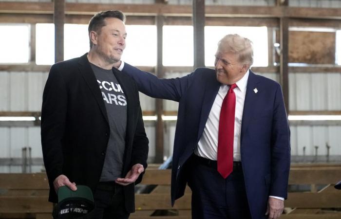 Congratulazioni dopo la sua vittoria | Musk ha partecipato alla telefonata tra Trump e Zelenskyj