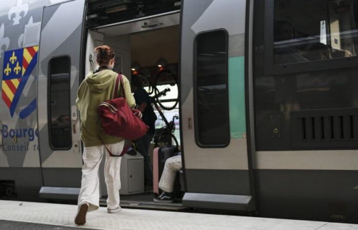 Trasporti. Ponte dell'11 novembre: SNCF Voyageurs si mobilita