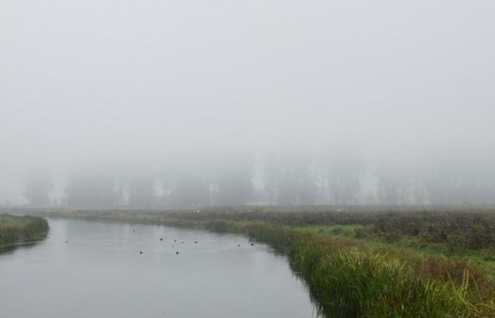 Bollettino meteorologico. Nuvole, nebbie, schiarite…: quali sono le previsioni per questo lungo weekend nel Nord e nel Passo di Calais?