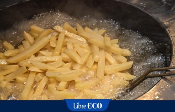 “All’inizio di ottobre c’erano ancora dei timori”: il tempo risparmia ancora le patate belghe, buone notizie per le patatine fritte