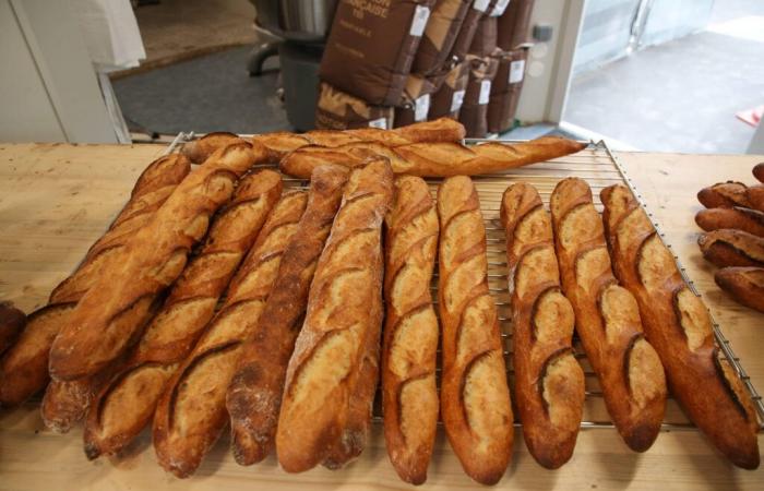 Nuovo prezzo record per le baguette, il vostro è più caro che altrove in Francia?