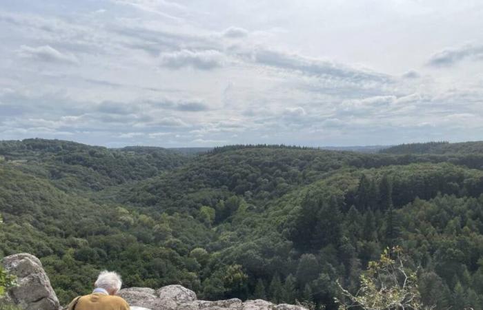 Quali risultati turistici per il territorio di Flers agglo quest’anno 2024?