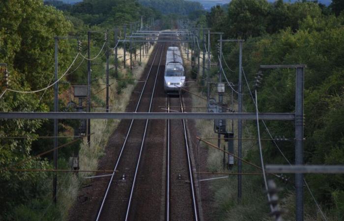 BlaBlacar venderà i biglietti del treno in Francia, buone notizie per i portafogli dei viaggiatori?