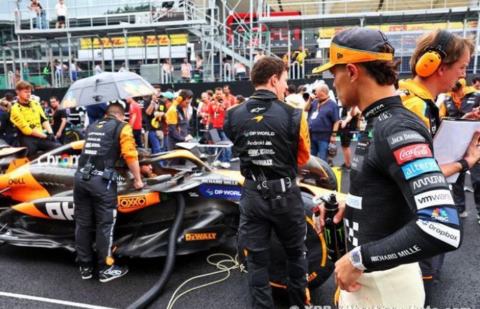 Formula 1 | Stella difende l'errore procedurale di Norris: 'Una situazione confusa'