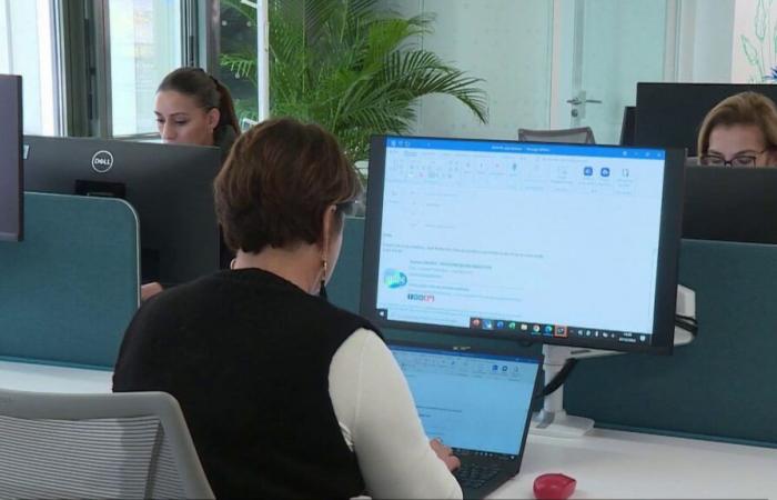 le donne lavorano gratuitamente dall'8 novembre alle 16:48