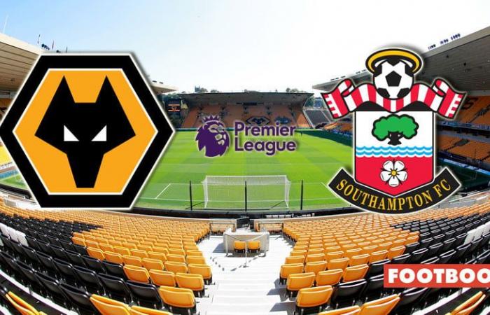 Wolverhampton vs Southampton: pronostici e pronostici della partita