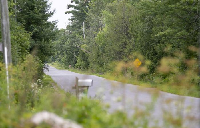 Deportazione voluta da Donald Trump | Verso un nuovo afflusso di migranti in Quebec?