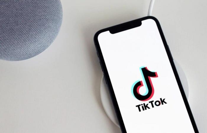 Questo paese vieta TikTok, l'azienda rappresenta una minaccia per la sicurezza nazionale